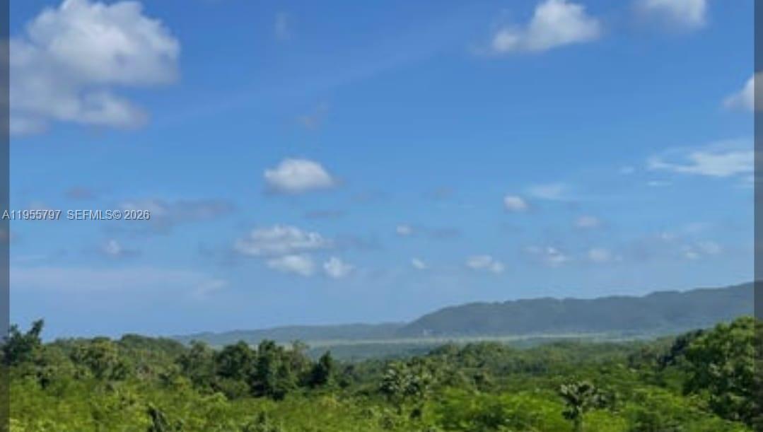 A view of a lush green landscape with distant hills under a blue sky — 00 Ethel Town, Westmoreland, Jamaica, FL