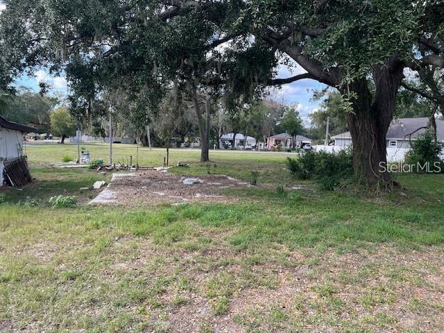 A large oak tree stands over a grassy lot with a concrete slab foundation — 7502 N 40TH STREET, TAMPA, FL