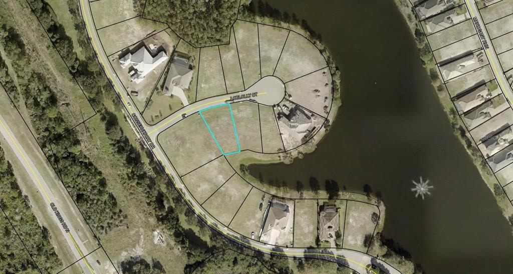803 LOBLOLLY COURT