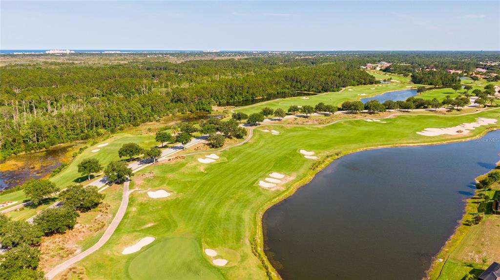 An aerial view shows a golf course with sand traps, a large pond, and surrounding trees — 803 LOBLOLLY COURT, PALM COAST, FL