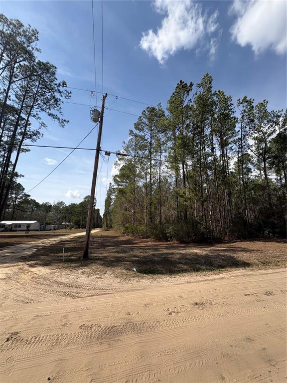 A dirt road leads past a utility pole toward a wooded lot with tall pine trees — 4385 BONDARENKO ROAD, KEYSTONE HEIGHTS, FL