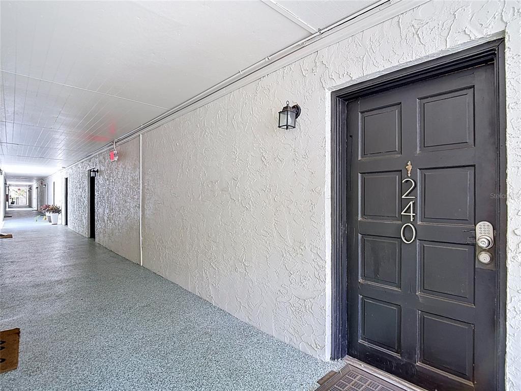 A dark brown front door with the number 240 sits in a textured white hallway — 4611 W NORTH B STREET UNIT 240, TAMPA, FL