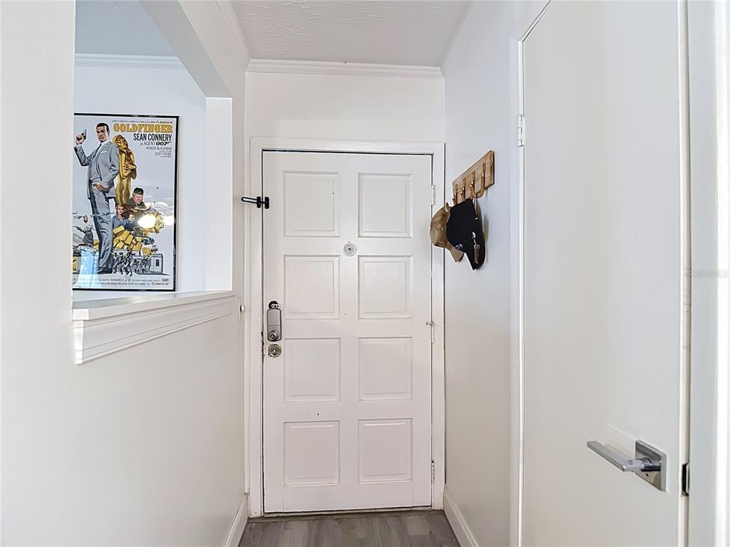 A white entry door with a coat rack and a framed movie poster on the wall — 4611 W NORTH B STREET UNIT 240, TAMPA, FL