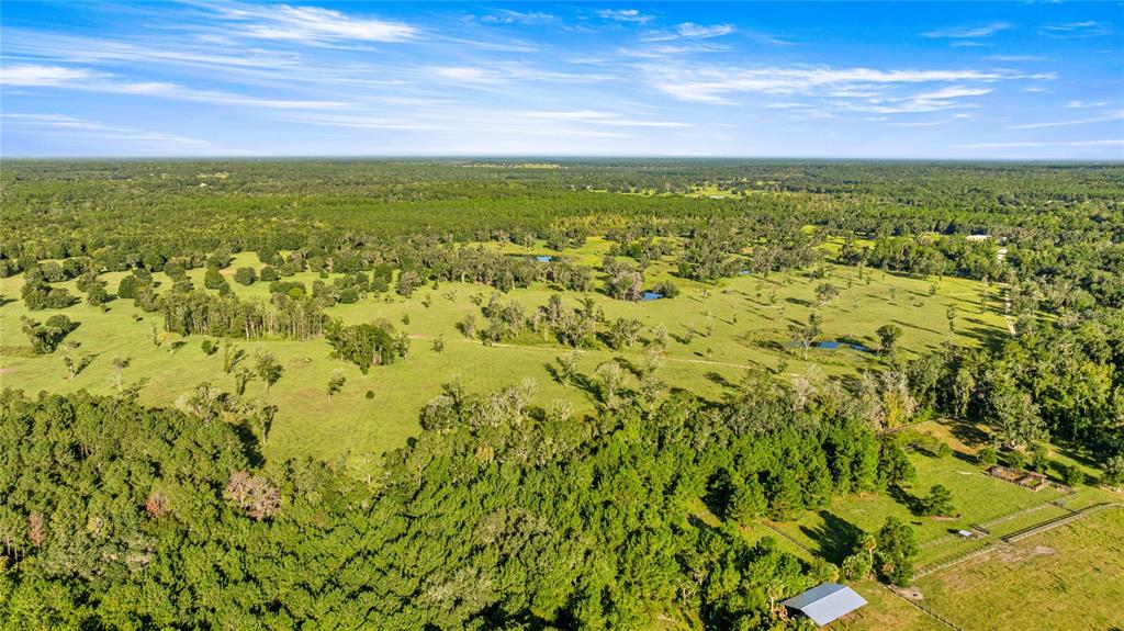 17748 N HWY 329, REDDICK, FL — photo 2 of 17