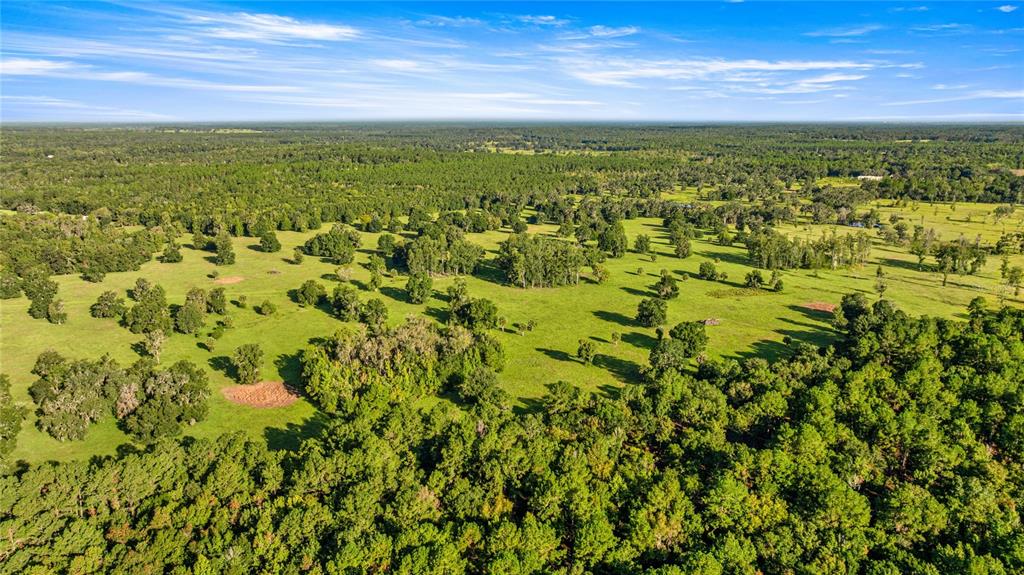 17748 N HWY 329, REDDICK, FL — photo 5 of 17