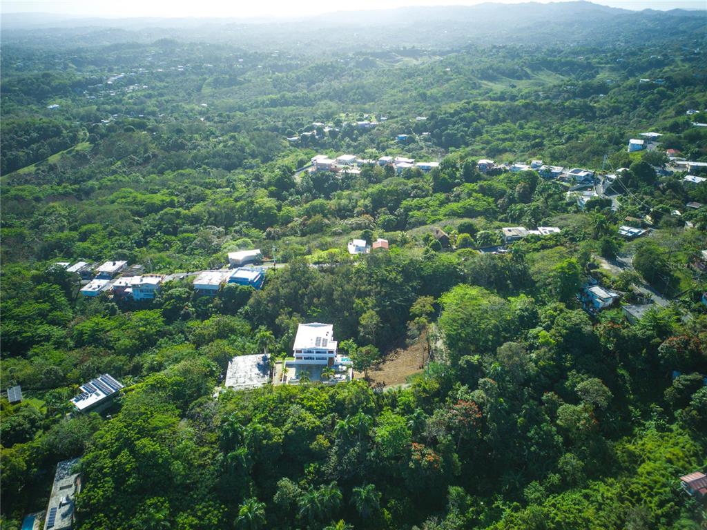 An aerial view shows a white house surrounded by dense forest and scattered residential buildings — CARR. 115, KM 5.5 INT., RINCON, PR