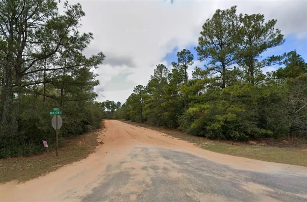 A dirt road intersection is surrounded by dense pine trees under a cloudy sky — ADAMS DRIVE, ALFORD, FL