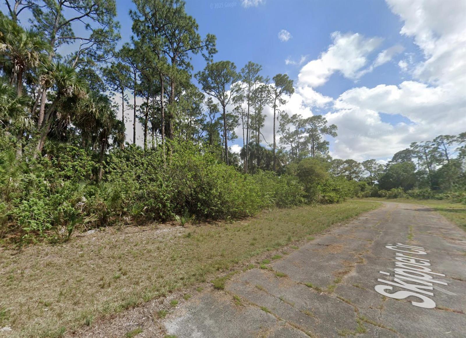 A paved road curves past a dense wooded area with tall pine trees — 425 Skipper Terrace, FL 33935, FL