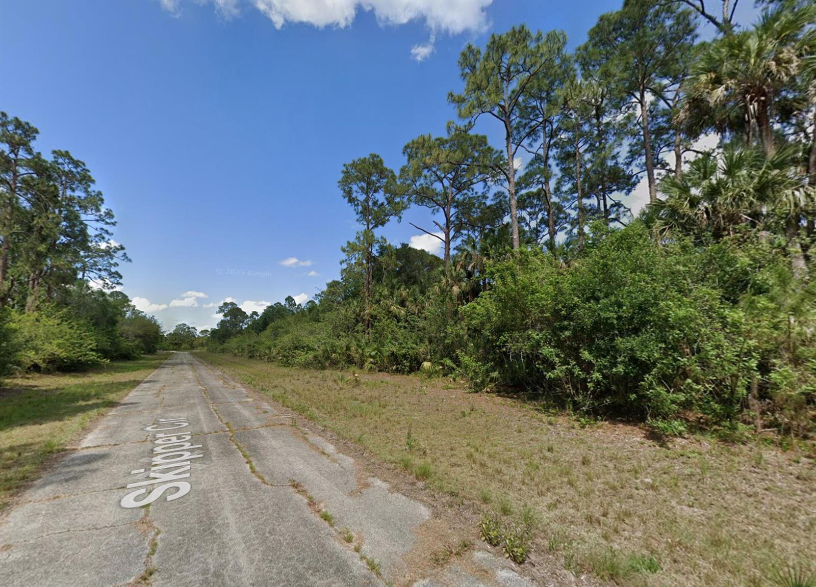 A paved road leads through a wooded area with tall pine trees and dense vegetation — 425 Skipper Terrace, FL 33935, FL
