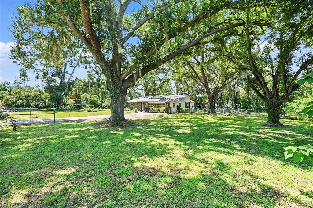 A single-story house sits in a large, grassy yard shaded by several mature oak trees — 534 LEVERETT ROAD, SEFFNER, FL