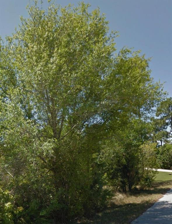 A large, leafy tree stands beside a paved path in a sunny outdoor setting — 23509 BRANCH AVENUE, PUNTA GORDA, FL