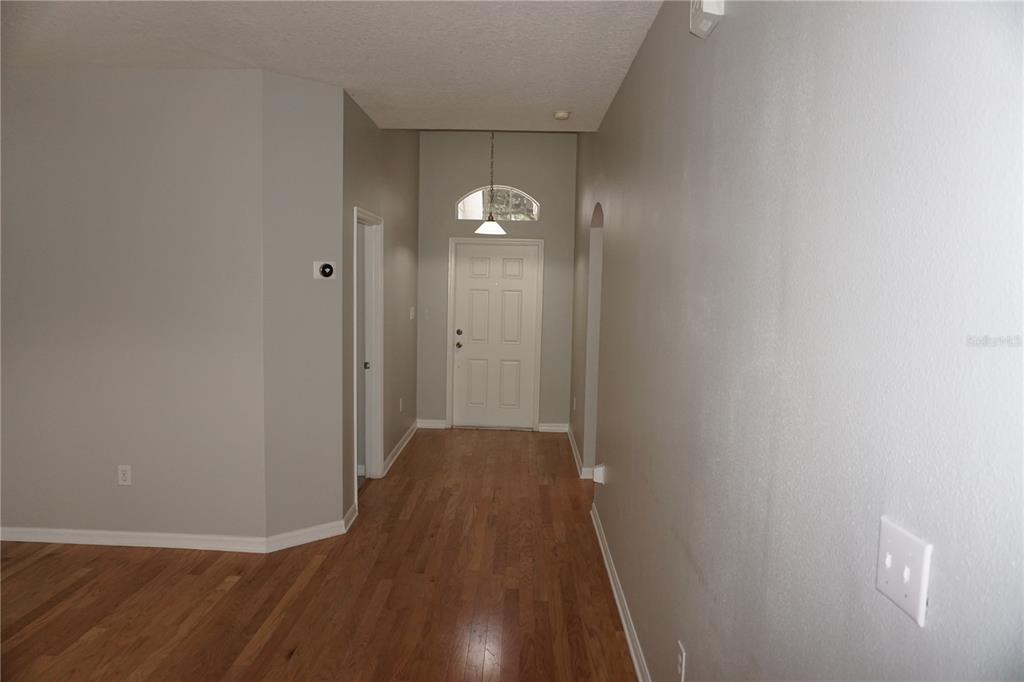 A hallway with hardwood floors leads to a white front door with a transom window — 19131 CYPRESS REACH LANE, TAMPA, FL