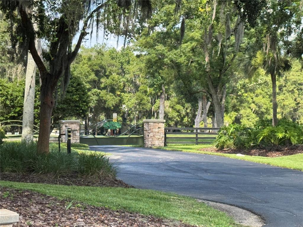 A paved driveway leads to a gated entrance with stone pillars and metal fencing — 2120 SW 76TH LANE, OCALA, FL