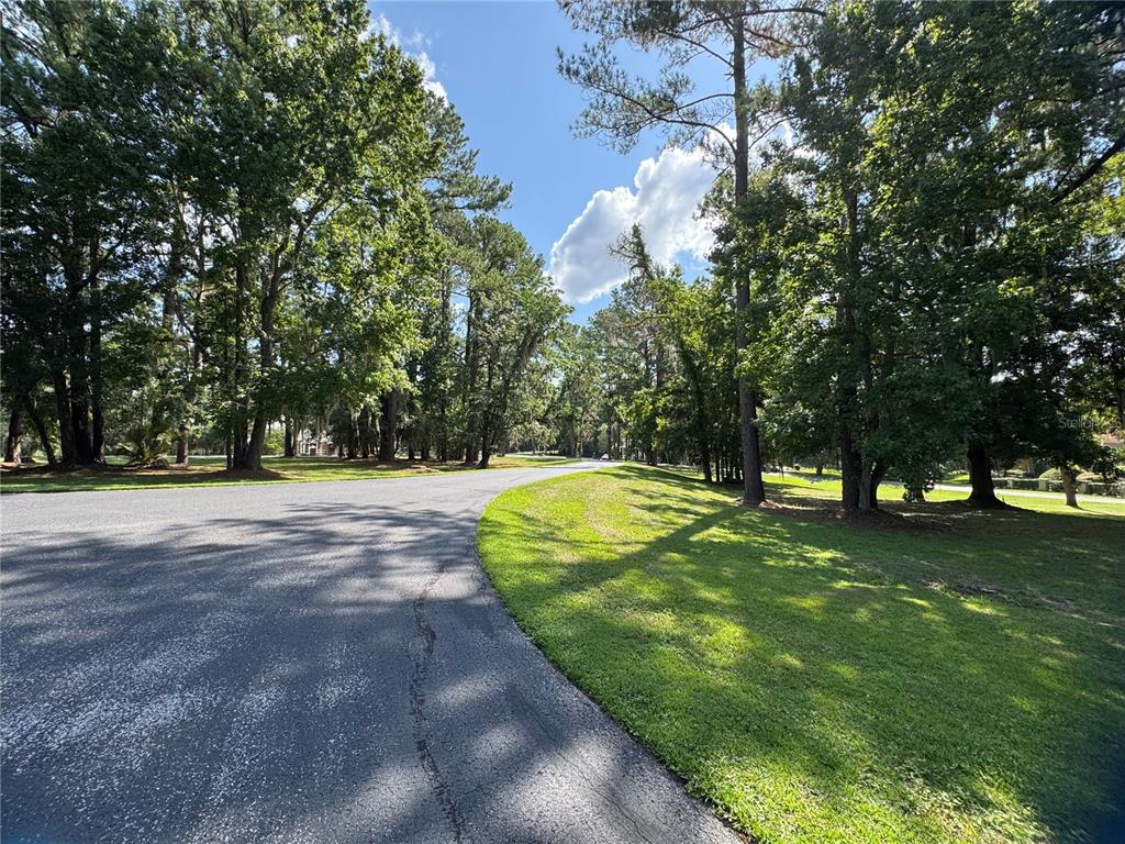 A paved road curves through a grassy area surrounded by tall, mature trees — 2120 SW 76TH LANE, OCALA, FL