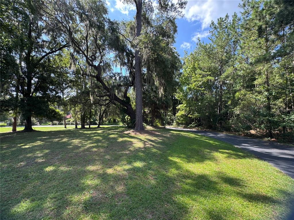 A grassy lot with large trees and a paved driveway under a blue sky — 2120 SW 76TH LANE, OCALA, FL
