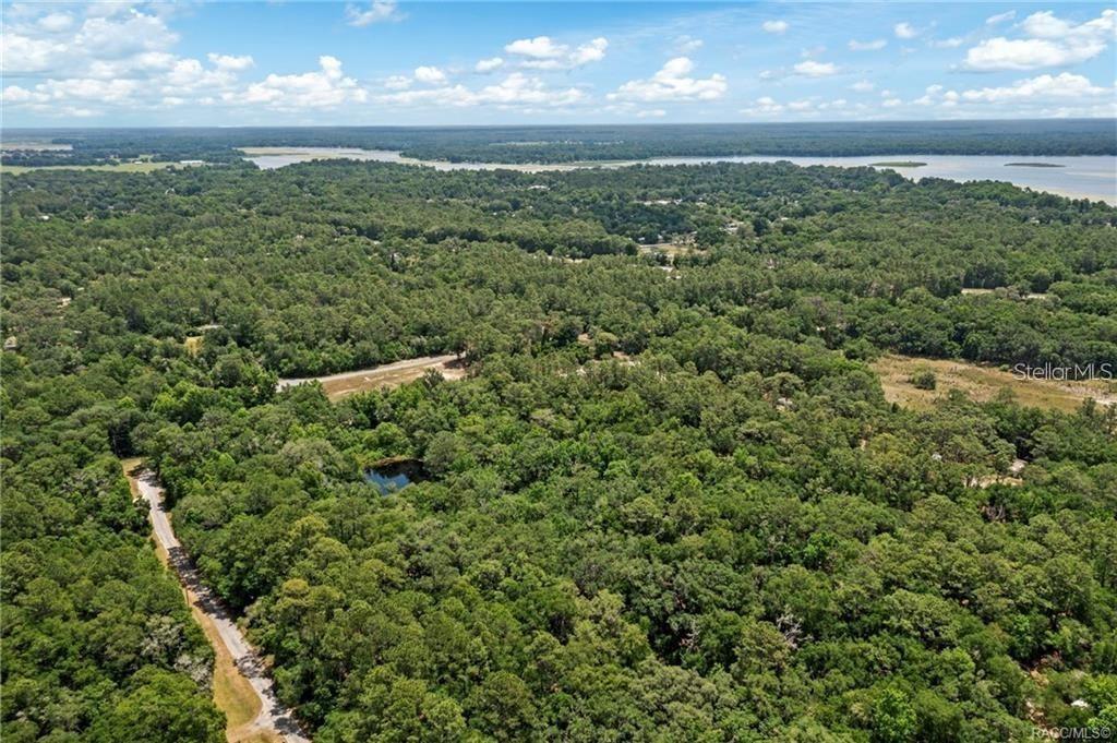 11151 HWY 40 E, INGLIS, FL — photo 3 of 5