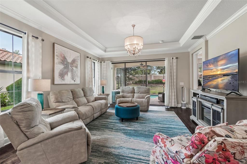 A living room features a tray ceiling, a blue area rug, and sliding glass doors — 11503 CALLISIA DRIVE, ODESSA, FL