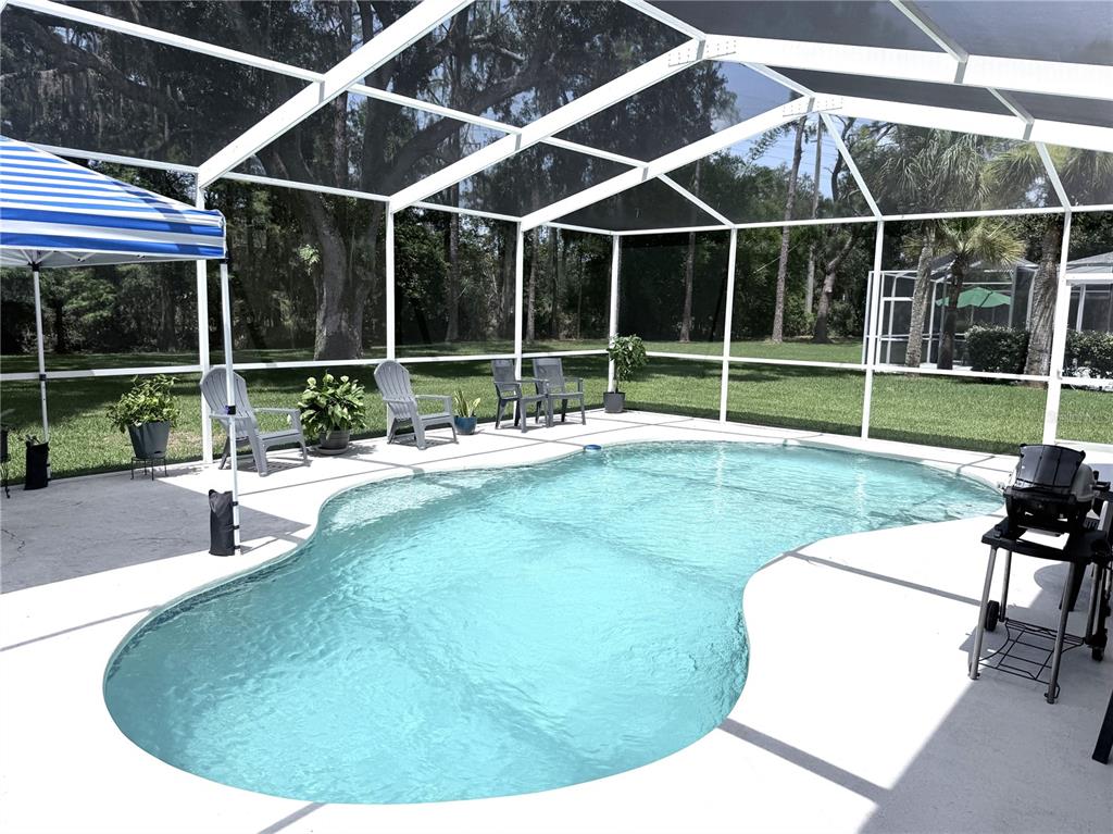 A kidney-shaped swimming pool sits inside a screened-in patio enclosure with outdoor furniture — 4968 EBENSBURG DRIVE, TAMPA, FL