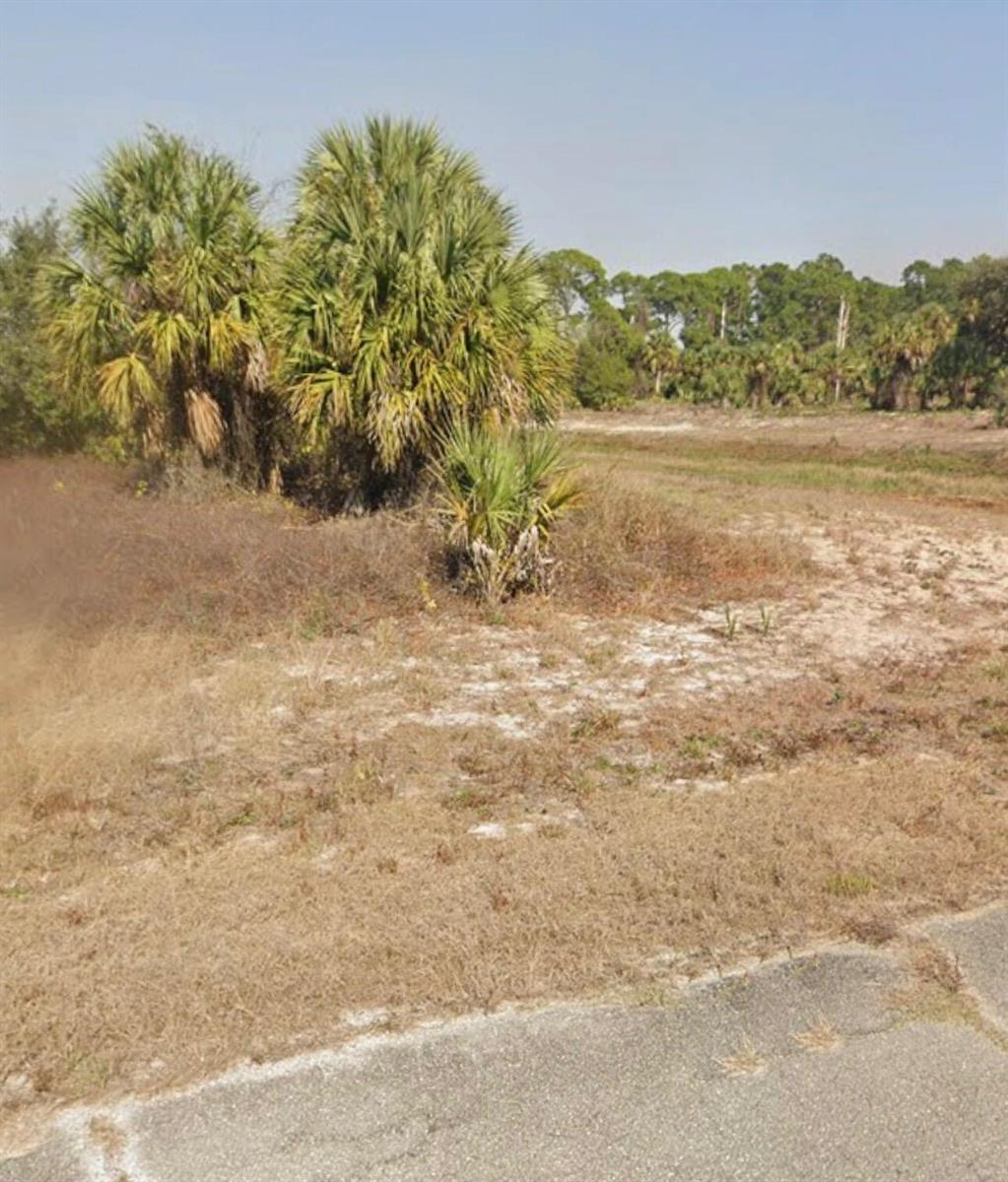 A vacant, sandy lot features several palm trees and dry brush under a clear sky — 248 Manhattan Avenue, FL 33935, FL