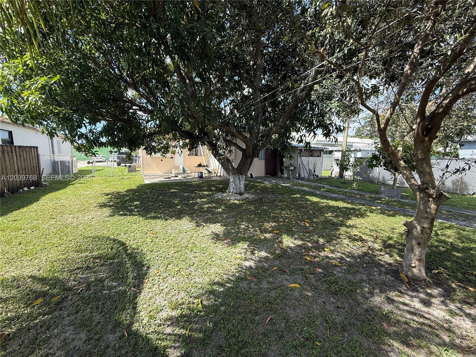 A large tree shades a grassy backyard with a house and fence in the background — 2447 Arthur St, Hollywood FL 33020, HOLLYWOOD, FL