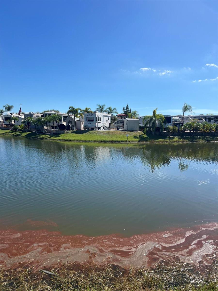 A row of recreational vehicles sits along the grassy bank of a pond — 7950 Florida 78, Okeechobee FL 34974, OKEECHOBEE, FL