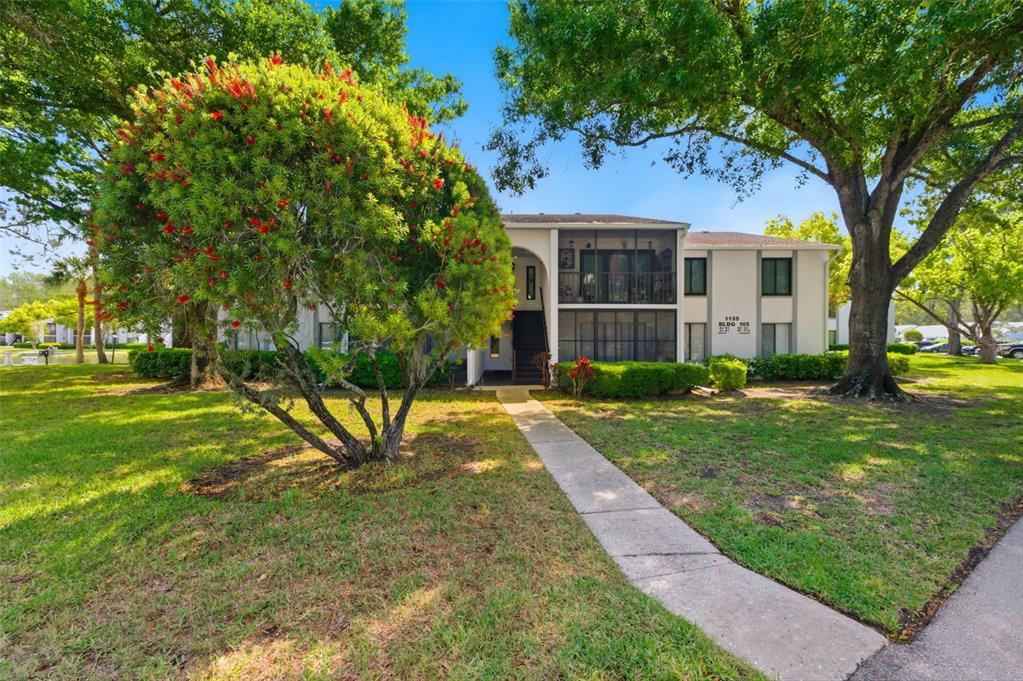A two-story apartment building exterior features a screened balcony, a concrete walkway, and mature trees — 1135 PINE RIDGE CIRCLE W UNIT A2, TARPON SPRINGS, FL