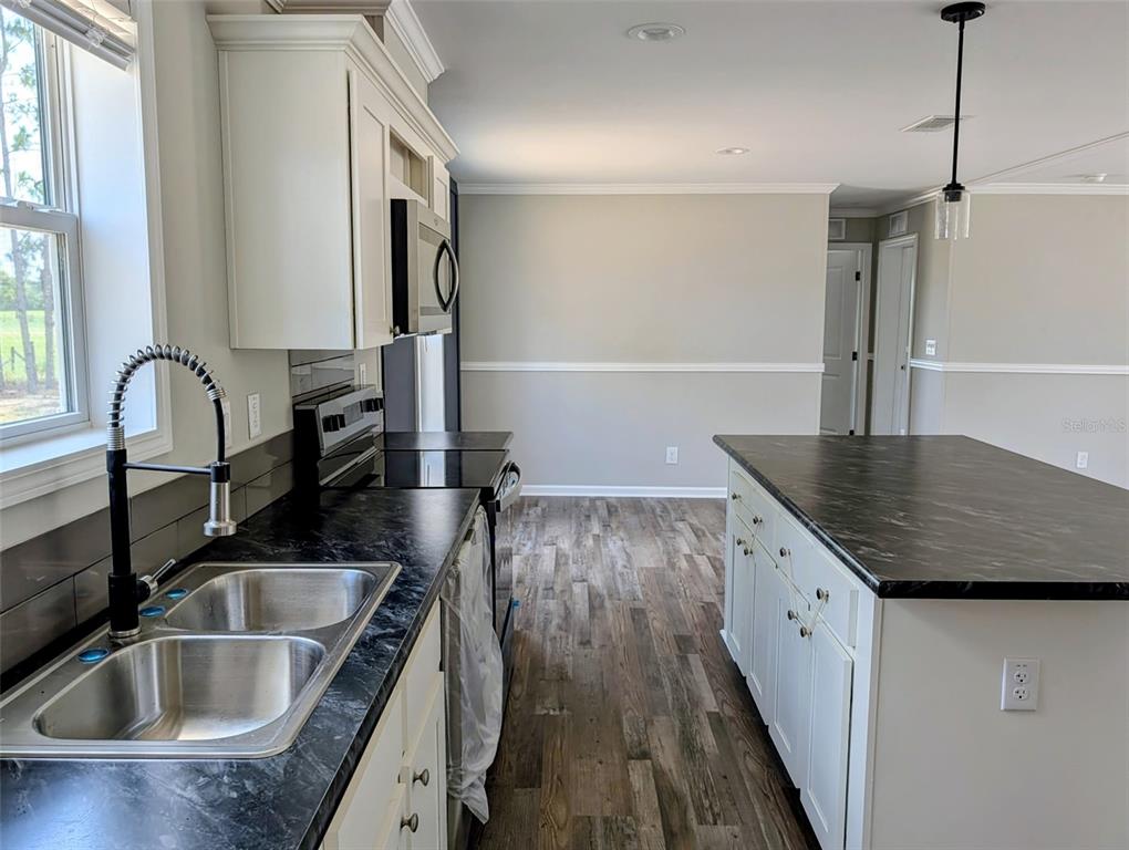 A kitchen features white cabinets, dark countertops, a double sink, and wood-look flooring — 26125 COUNTY ROAD 44A, EUSTIS, FL