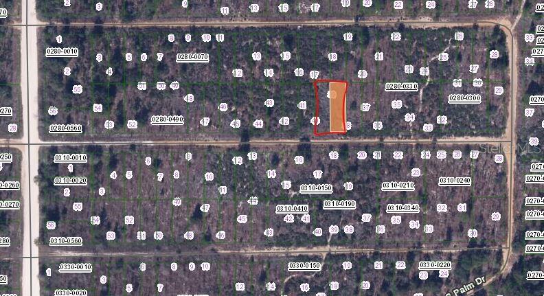 00 BIRCH STREET, INTERLACHEN, FL — photo 2 of 3