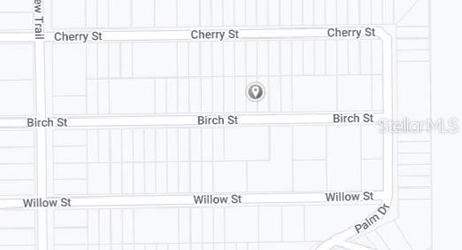 00 BIRCH STREET, INTERLACHEN, FL — photo 3 of 3