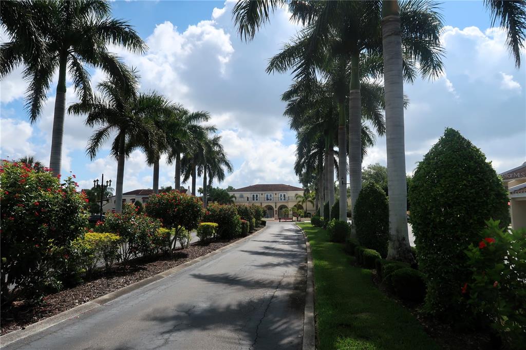 A paved driveway lined with palm trees leads toward a multi-story building under a blue sky — 6101 34TH STREET W UNIT 24C, BRADENTON, FL