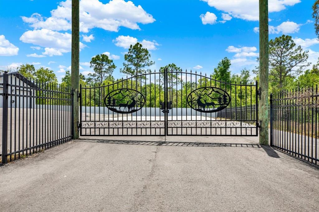 A black metal gate with deer silhouettes stands at the entrance of a paved driveway — 34370 RICHARDSON BOULEVARD, WEBSTER, FL