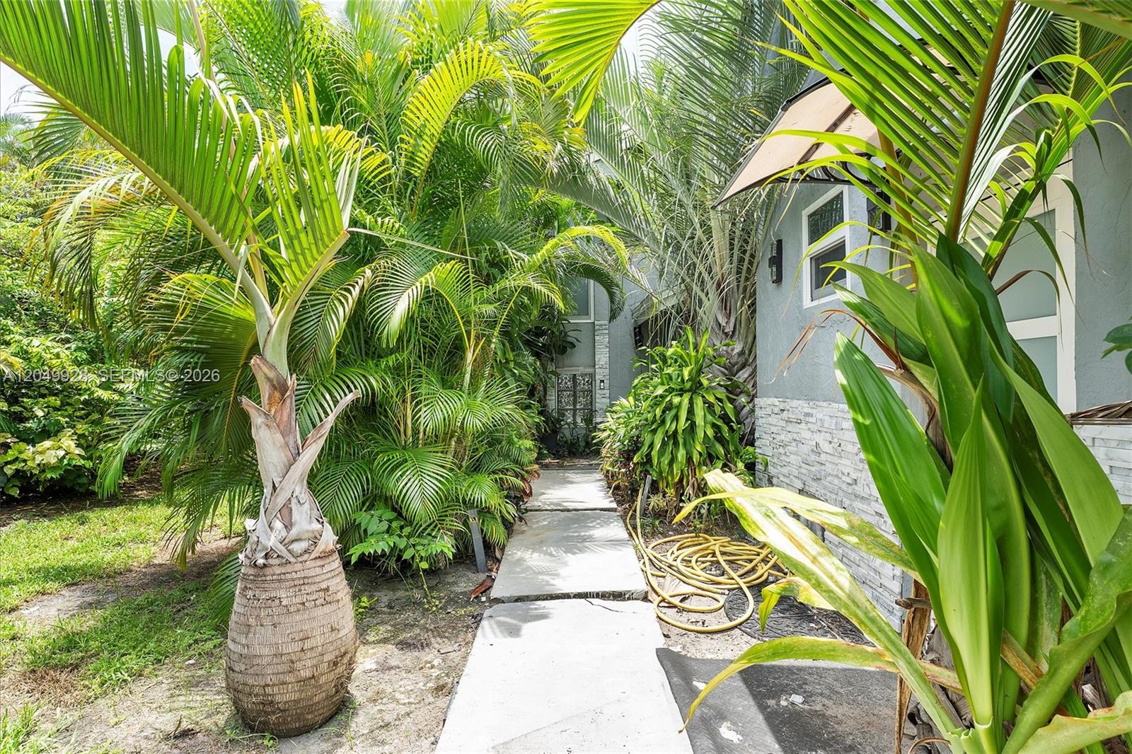 A concrete walkway leads to a house entrance surrounded by lush tropical palm trees — 2055 NW 9th St, Delray Beach FL 33445, DELRAY BEACH, FL