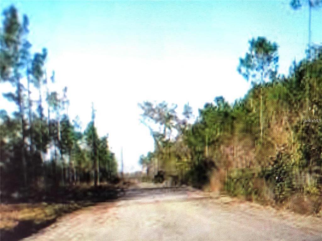 35 Acres MADISON MAIN LINE, PERRY, FL — photo 2 of 5