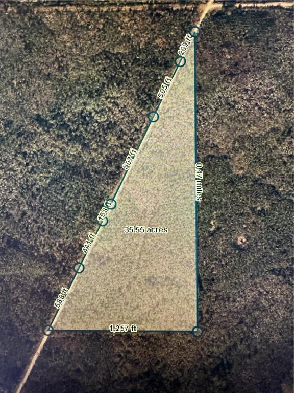 35 Acres MADISON MAIN LINE, PERRY, FL — photo 3 of 5