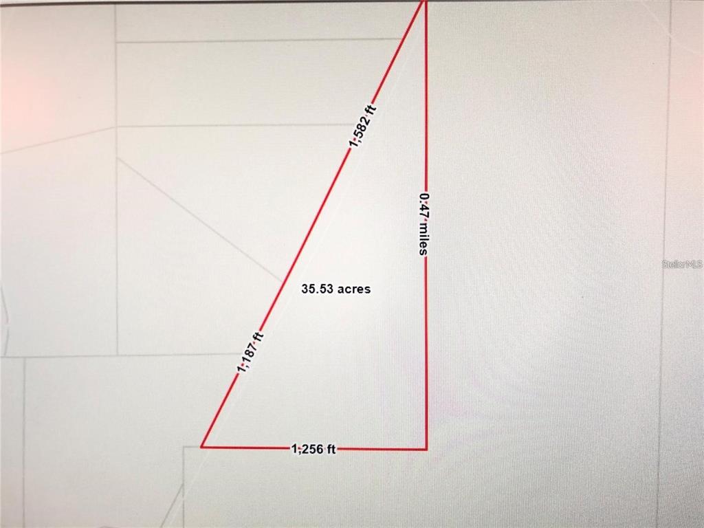 35 Acres MADISON MAIN LINE, PERRY, FL — photo 4 of 5