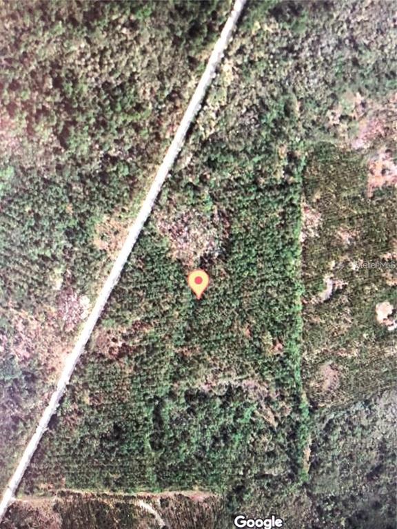 35 Acres MADISON MAIN LINE, PERRY, FL — photo 5 of 5