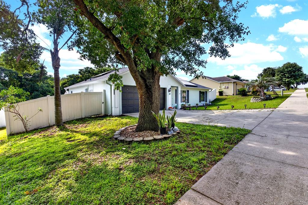 A single-story house with a palm tree in the front yard and a white fence — 919 ARBOR HILL CIR, MINNEOLA, FL