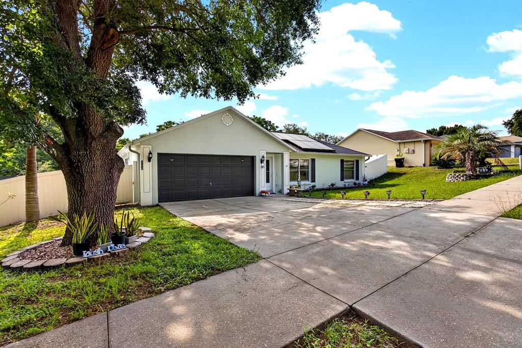 A white house with a large tree in the front yard and a concrete driveway — 919 ARBOR HILL CIR, MINNEOLA, FL