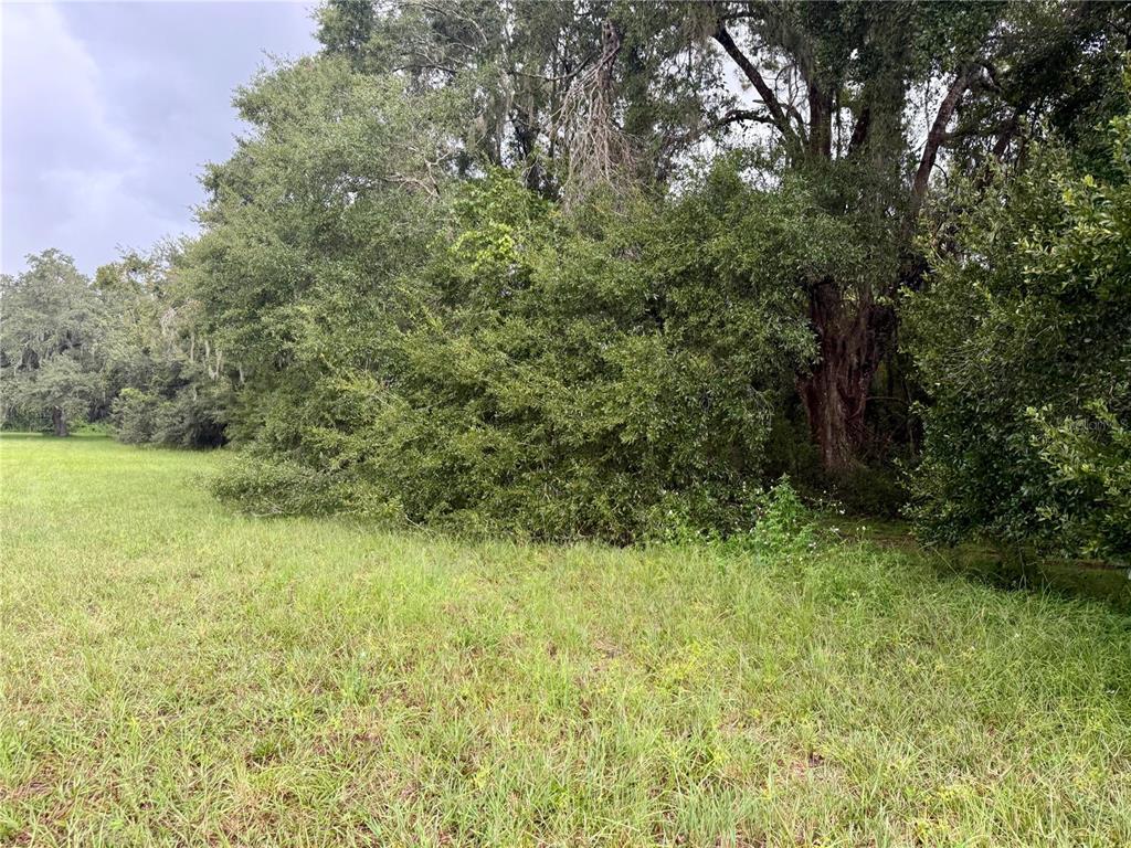 0 STATE ROAD 471, WEBSTER, FL — photo 3 of 9