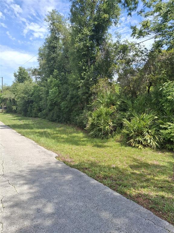 A paved road runs alongside a grassy area bordered by dense trees and palmetto bushes — 885 E LEHIGH DRIVE, DELTONA, FL