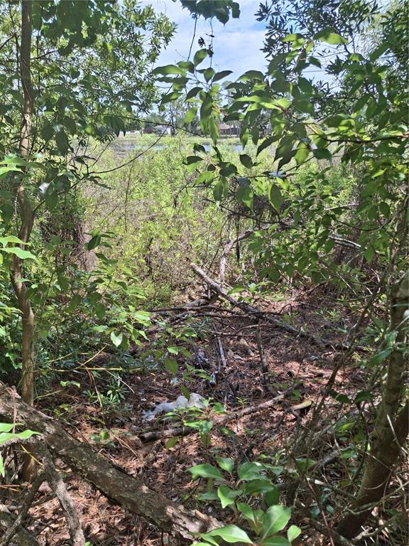 A view of a wooded area with dense vegetation leading toward a distant pond — 885 E LEHIGH DRIVE, DELTONA, FL