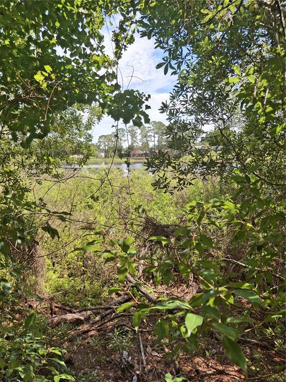 A view of a pond and distant houses framed by trees and dense foreground vegetation — 885 E LEHIGH DRIVE, DELTONA, FL