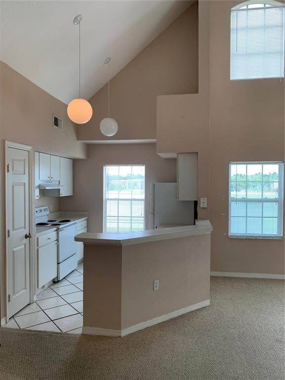 A kitchen features white appliances, light-colored cabinetry, a sink, and wood-look flooring — 9832 LAKE CHASE ISLAND WAY, TAMPA, FL