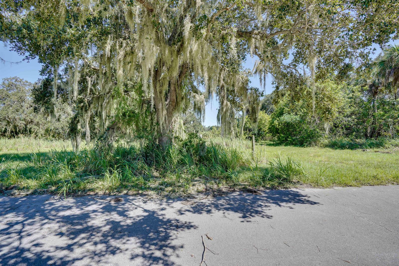 A large oak tree draped in Spanish moss stands beside a paved road — 4108 Mariner Oaks Way, FL 34946, FL