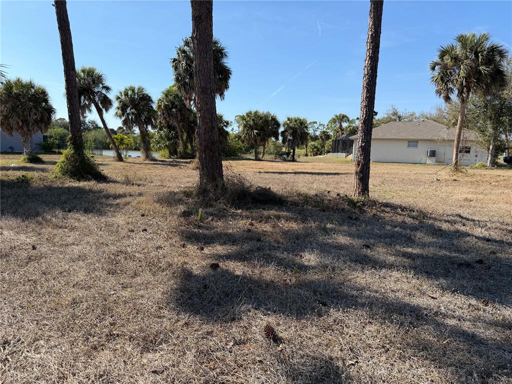 A grassy, sunlit lot features several tall pine trees and palm trees near a pond — 2 PINE VALLEY CT, ROTONDA WEST, FL