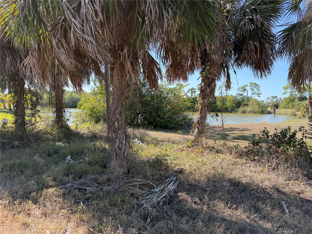 A view of a grassy area with palm trees overlooking a small pond — 2 PINE VALLEY CT, ROTONDA WEST, FL