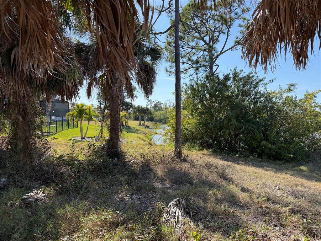 A view of a grassy lot with palm trees and a small pond in the background — 2 PINE VALLEY CT, ROTONDA WEST, FL