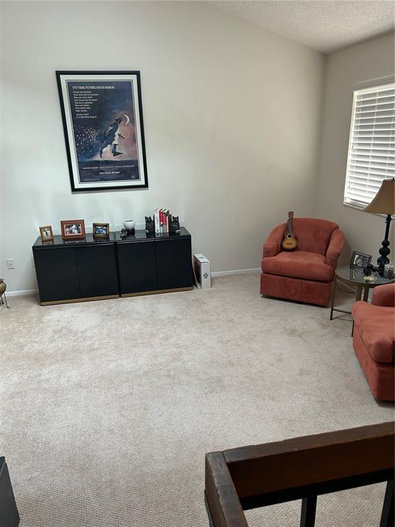 A living area features beige carpet, two black cabinets, and two orange armchairs — 807 BUCKIE DRIVE, WINTER SPRINGS, FL