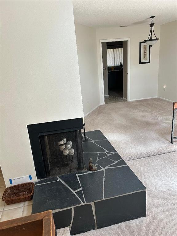 A living room features a raised fireplace with a black slate hearth and carpeted flooring — 807 BUCKIE DRIVE, WINTER SPRINGS, FL