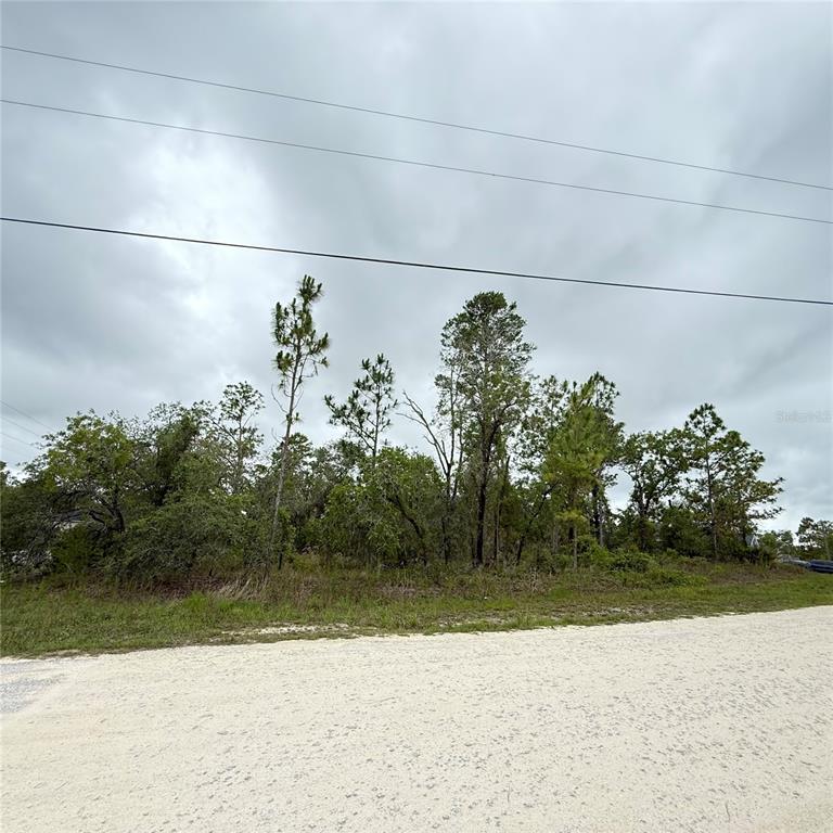 A view of a vacant, wooded lot from an unpaved road under a cloudy sky — 11200 MARVELWOOD ROAD, WEEKI WACHEE, FL